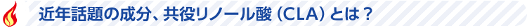 近年話題の成分、共役リノール酸（CLA）とは？