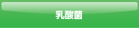乳酸菌