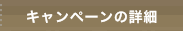 キャンペーンの詳細