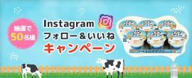 インスタグラム フォロー&いいねキャンペーン